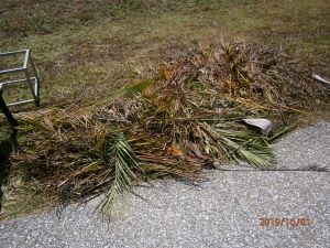 Noncompliant Horticultural Waste 4